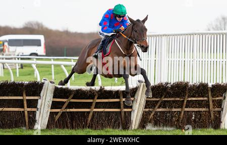 Doncaster Racecourse, Royaume-Uni, samedi 27 janvier 2024 ; Wodhooh et le jockey Mark Walsh remportent le SBK Filliess' Juvenile Hurdle (listé) pour l'entraîneur Gordon Elliott et les propriétaires du Sundowners Partnership. Crédit JTW Equine Images / Alamy Live News Banque D'Images