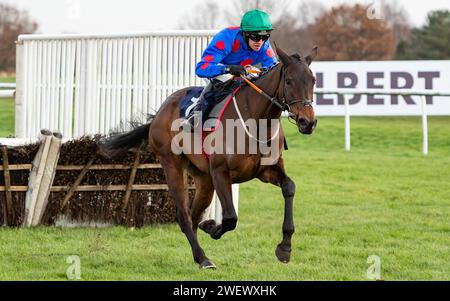 Doncaster Racecourse, Royaume-Uni, samedi 27 janvier 2024 ; Wodhooh et le jockey Mark Walsh remportent le SBK Filliess' Juvenile Hurdle (listé) pour l'entraîneur Gordon Elliott et les propriétaires du Sundowners Partnership. Crédit JTW Equine Images / Alamy Live News Banque D'Images