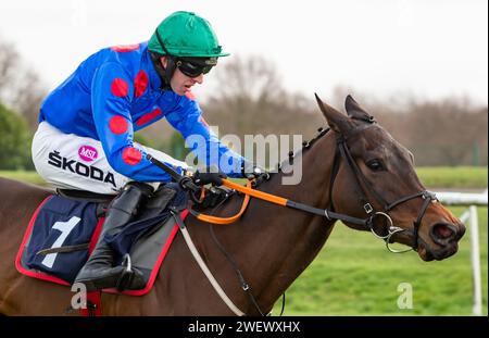 Doncaster Racecourse, Royaume-Uni, samedi 27 janvier 2024 ; Wodhooh et le jockey Mark Walsh remportent le SBK Filliess' Juvenile Hurdle (listé) pour l'entraîneur Gordon Elliott et les propriétaires du Sundowners Partnership. Crédit JTW Equine Images / Alamy Live News Banque D'Images