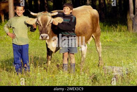 Comté de Vrancea, Roumanie, env. 1996. Jeunes garçons locaux posant avec leur vache sur le terrain. Banque D'Images