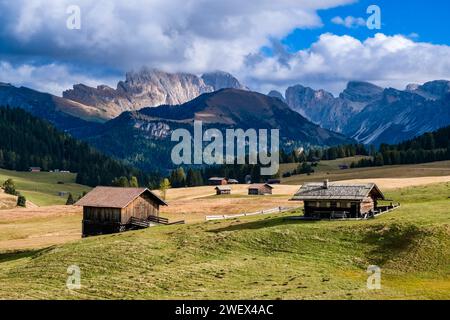 Campagne agricole vallonnée avec cabanes en bois et pâturages récoltés à Seiser Alm, Alpe di Siusi, en automne, groupe Odle au loin. Kastelruth Banque D'Images