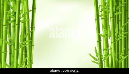 Cadre en bambou. Encadrement de bannière verte avec des tiges et des feuilles de bambou, forêt chinoise et illustration vectorielle de bordure zen Illustration de Vecteur