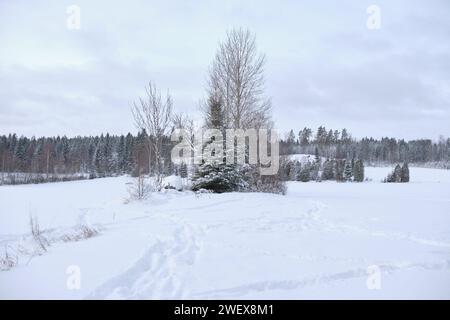 Beau paysage d'hiver et ferme en décembre en hiver à Bredebolet à Skaraborg à Vaestra Goetaland en Suède par temps nuageux Banque D'Images