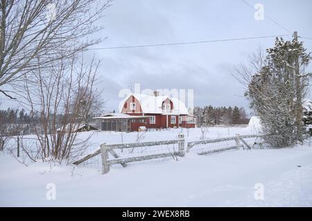 Beau paysage d'hiver et ferme en décembre en hiver à Bredebolet à Skaraborg à Vaestra Goetaland en Suède par temps nuageux Banque D'Images