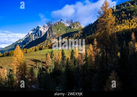 La formation rocheuse Monte Cristallo, entourée de mélèzes jaunes et de pins verts en automne, vue depuis le col Passo Tre Croci. Cortina d Ampezzo Banque D'Images