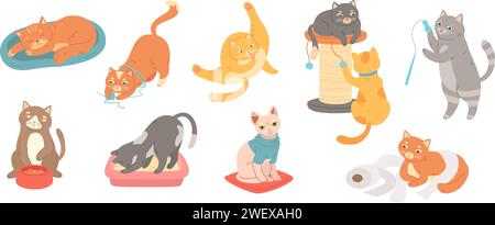 Chats domestiques drôles. Félins mignons, chaton dans la litière et chat ludique s'étirant, dormant et mangeant. Jeu d'illustrations vectorielles de dessin animé Illustration de Vecteur