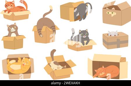 Chats de dessins animés dans une boîte en carton. Les félins jouent avec des boîtes, adoptent des chatons et des chats emballés drôles ensemble d'illustrations vectorielles Illustration de Vecteur