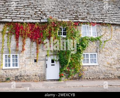 Beau cottage anglais avec creepers Banque D'Images
