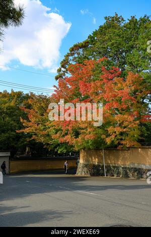 Automne dans un quartier résidentiel tranquille dans la banlieue japonaise de Kyoto. Banque D'Images