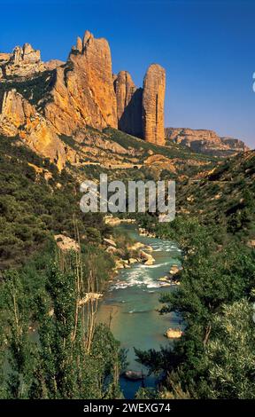 Los Mallos de Riglos roches au-dessus du Rio Gallego dans la Sierra de la Pena, Aragon, Espagne Banque D'Images