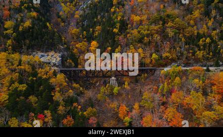 Vue du chemin de fer d'en haut - Mt Willard, New Hampshire Banque D'Images