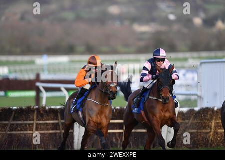 Cheltenham, Royaume-Uni. 27 janvier 2024. Cheltenham Racecource, Royaume-Uni. Action du McCoy Contractors Cleeve Hurdle de 15,35 remporté par Noble Yeats à Cheltenham. ROYAUME-UNI. Crédit photo : Paul Blake/Alamy Sports News Banque D'Images