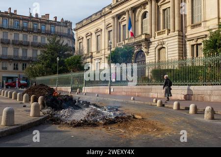 Montpellier, France, 2024. Place des Martyrs, une dame regarde le feu qui brûle encore laissé par les agriculteurs qui protestent contre les prix et les taxes injustes Banque D'Images