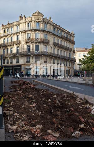 Montpellier, France, 2024. Les rues autour de la place des Martyrs sont toujours impraticables après que les agriculteurs protestant contre les revenus injustes les ont bloqués plus tôt Banque D'Images