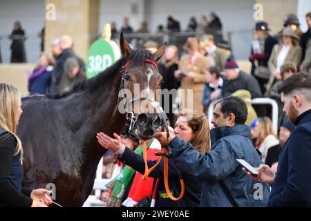 Cheltenham, Royaume-Uni. 27 janvier 2024. Cheltenham Racecource, Royaume-Uni. Le vrai Whacker dans le ring de parade. Action de 13,50 The Paddy Power Cotswold Steeple Chase, remporté par Capodanno, à Cheltenham. ROYAUME-UNI. Crédit photo : Paul Blake/Alamy Sports News Banque D'Images