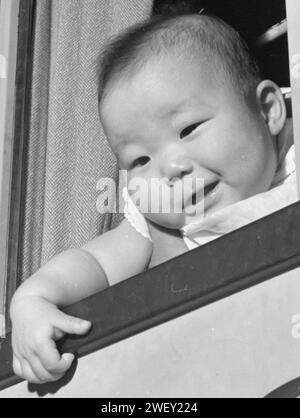 Détail du visage de bébé américain en septembre 1945- Colorado River Relocation Center, Poston, Arizona. Après que les plans finaux ont été faits, les boîtes emballent. . . Banque D'Images