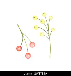 Baies rouges et jaunes, dessinées à la main dans une aquarelle sur fond blanc, pour votre carte et votre travail, dessinées à la main dans un pastel Banque D'Images