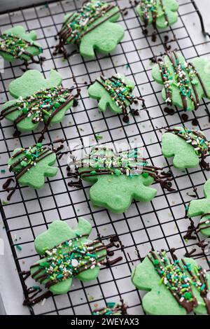 Biscuits Shamrock pour la Saint Patricks avec glaçage au chocolat et saupoudrages, biscuits aux feuilles de trèfle vert Banque D'Images