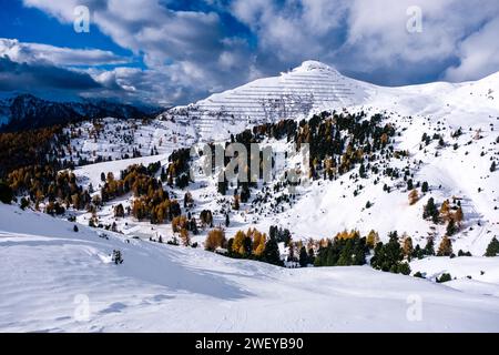 Pins et mélèzes jaunes poussant sur les pentes vallonnées du Passo Sella Pass, la cabane de montagne Rifugio Col Rodella au sommet de la colline, en hiver. Banque D'Images