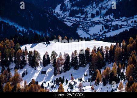 Vue aérienne sur les pins et les mélèzes jaunes poussant sur les pentes vallonnées du Passo Sella Pass, maisons de Canazei dans la vallée, en hiver. Banque D'Images