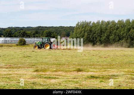 Faire du foin, comme le foin est tourné, fané et séché sur le terrain, la graine de fleur sauvage peut retourner à la prairie. Banque D'Images