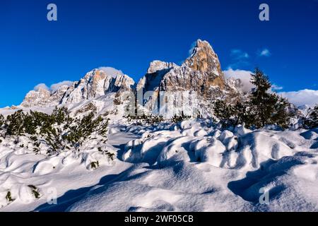 Sommets de Cima dei Bureloni, Cima della Vezzana et Cimon della Pala à gauche du groupe Pala, vu du haut du col Passo Rolle en hiver. San Mar Banque D'Images