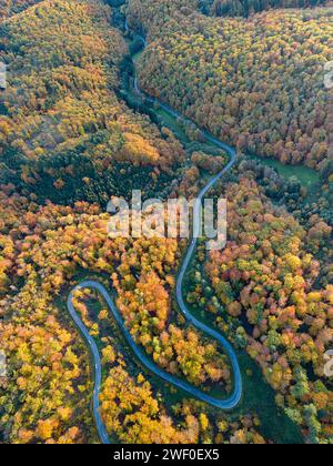 Vue aérienne d'une route sinueuse traversant la forêt d'automne colorée en allemagne Banque D'Images