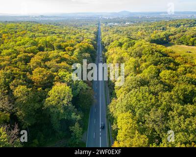 Vue aérienne d'une route droite traversant la forêt verdoyante au soleil Banque D'Images