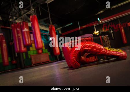 Gants de boxe dans la salle de gym - 2013 Banque D'Images