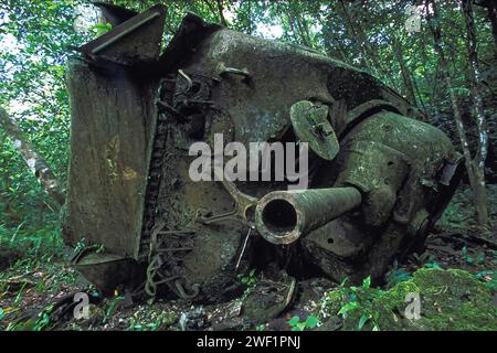 Détruit le char Sherman M4 de la Seconde Guerre mondiale dans la jungle, bataille de Peleliu 1944, guerre du Pacifique, Peleliu, Palau Islands, Micronésie. Banque D'Images