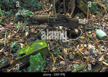 WW2 American M1917 Browning mitrailleuse dans la jungle où elle a été abandonnée en 1944 à la bataille de Peleliu. Peleliu, Palaos, Micronésie Banque D'Images
