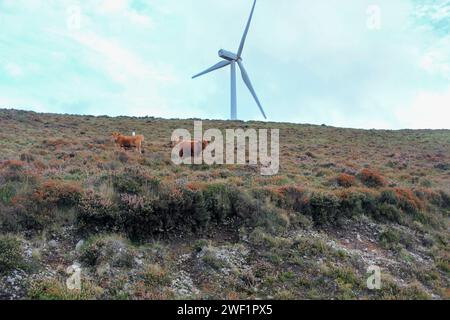 Ourol, Espagne ; 09 09 2023 : éoliennes dans les montagnes par temps nuageux Banque D'Images