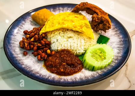 Une assiette de Nasi Lemak traditionnel d'Asie du Sud-Est, comprenant du riz à la noix de coco garni d'un omelette aux œufs, servi avec du poulet frit et du sambal chili épicé. Banque D'Images