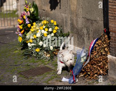 Rome, Italie. 27 janvier 2024. Un chien renifle les bouquets déposés à la mémoire des victimes de l’Holocauste à Rome, Italie, le 27 janvier 2024. En 2005, l’Assemblée générale des Nations Unies a adopté une résolution qui a désigné le 27 janvier comme Journée internationale de commémoration à la mémoire des victimes de l’Holocauste, jour où le camp d’extermination d’Auschwitz a été libéré en 1945. Crédit : Li Jing/Xinhua/Alamy Live News Banque D'Images