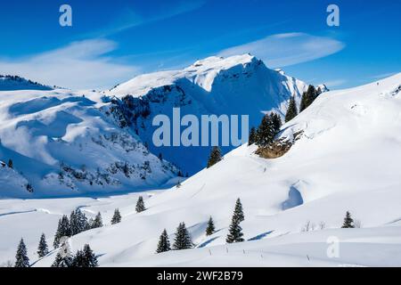 Le sommet de la montagne Diedamskopf dans un paysage d'hiver dans la vallée Kleinwalsertal, vu de l'ascension de la montagne Hählekopf. Banque D'Images