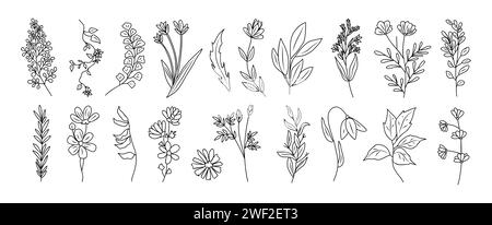Ensemble de minuscules fleurs sauvages et de plantes au trait d'art. Illustration de Vecteur