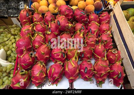 Fruit du dragon (Selenicereus undatus) dans un stand de fruits, Gênes, Italie Banque D'Images