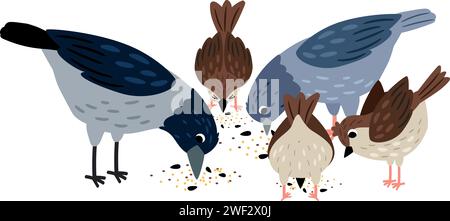 Le corbeau, le pigeon, le moineau mangent des graines. Collection d'oiseaux mignons sur fond blanc illustration vectorielle de graines animales, personnage de moineau mignon Illustration de Vecteur