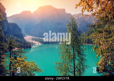 Belle rive du lac par une journée ensoleillée. Lac de Braies dans les Dolomites, Italie Banque D'Images