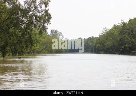 Le parc national des Sundarbans est une grande forêt côtière de mangroves, partagée par l'Inde et le Bangladesh. Banque D'Images