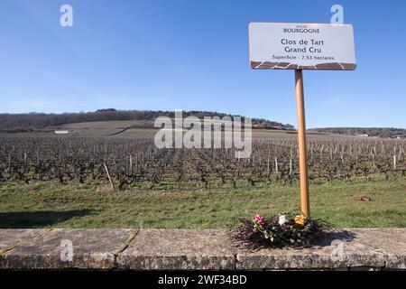 Morey Saint Denis, France. 27 janvier 2024. © JC Tardivon/MAXPPP - Morey-Saint-Denis 27/01/2024 Vignes du grand cru clos de Tart en hiver Morey-Saint-Denis 01/27/2024 Saint Vincent tournant en Bourgogne 2024. Parmi les traditions, Inductions à la fraternité des chevaliers de Tastevin, messe et procession dans les vignes. Crédit : MAXPPP/Alamy Live News Banque D'Images