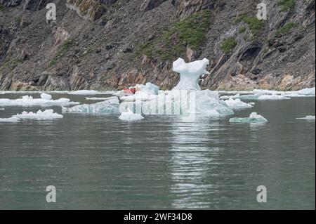 Des growlers de forme étrange (petits icebergs) flottant dans Icy Bay avec une côte touristique en Alaska, USA Banque D'Images