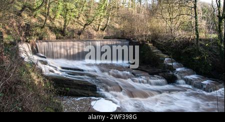 Autour du Royaume-Uni - Weir & Fish échelle sur la rivière Yarrow, Chorley Banque D'Images