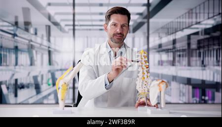 Orthopédiste médecin médecin montrant l'articulation squelettique à l'hôpital Banque D'Images