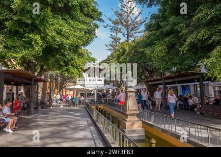 Les touristes et les habitants sont assis parmi la Plaza de la Alameda bordée d'arbres à l'ombre sur l'île Canaries de Santa Cruz, la Palma, Espagne. Banque D'Images