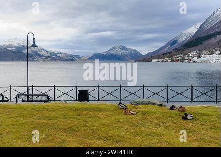 Les canards profitent d'un repos paisible sur l'herbe luxuriante au bord d'un lac calme, avec une toile de fond montagneuse tandis que le crépuscule se couche sur le village tranquille. Banque D'Images