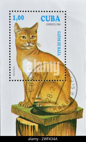 Bloc-feuillet avec timbre-poste oblitéré imprimé par Cuba, qui montre un chat abyssinien (Felis silvestris catus), vers 1994. Banque D'Images