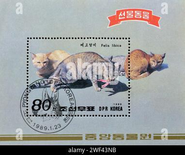 Bloc-feuillet annulé avec timbre-poste oblitéré, qui montre des chats sauvages africains (Felis silvestris lybica), animaux présentés à Kim II Sung, vers 1989 Banque D'Images