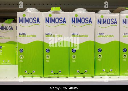 Cartons de lait UHT portugais lait semi-écrémé sur Une étagère de supermarché Albufeira Portugal, 27 janvier 2024 Banque D'Images