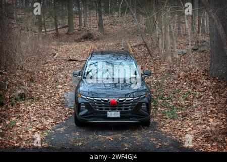 Une voiture décorée pour Noël garée à un seul endroit dans les bois parmi les arbres, Banque D'Images